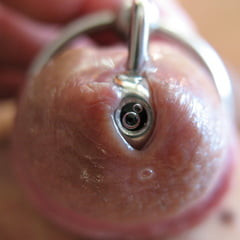 More steel in cock with glans rings