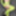 Green Mesh Lingerie #10