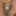 Daily duty of the naked slave March 25th, 2024 #3