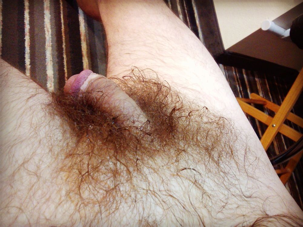 Hairy cock #12