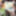 Amateur crossdresser Kellycd2022 sexy milf in stockings  #47