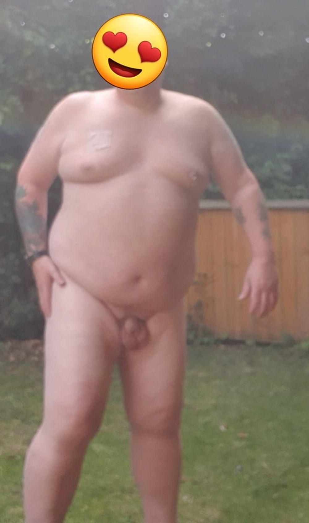 Fat bloke in the garden  #4