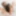 CANADA-TGIRL: A Taste Of Creamy Eclaire