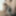 Hot Dick _ Cute Balls & Ass  #20