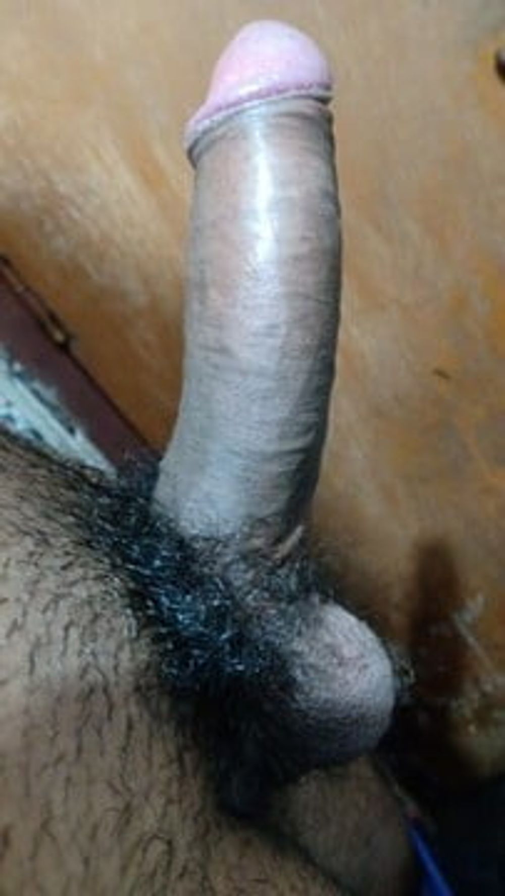 My Dick  #6