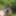 Gray-haired beauty posing naked outdoors on a blanket #4