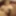 Ekstra d'une video ou je me caresse la chatte seins nus