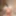 WANT A VIDEO CALL WITH ME?