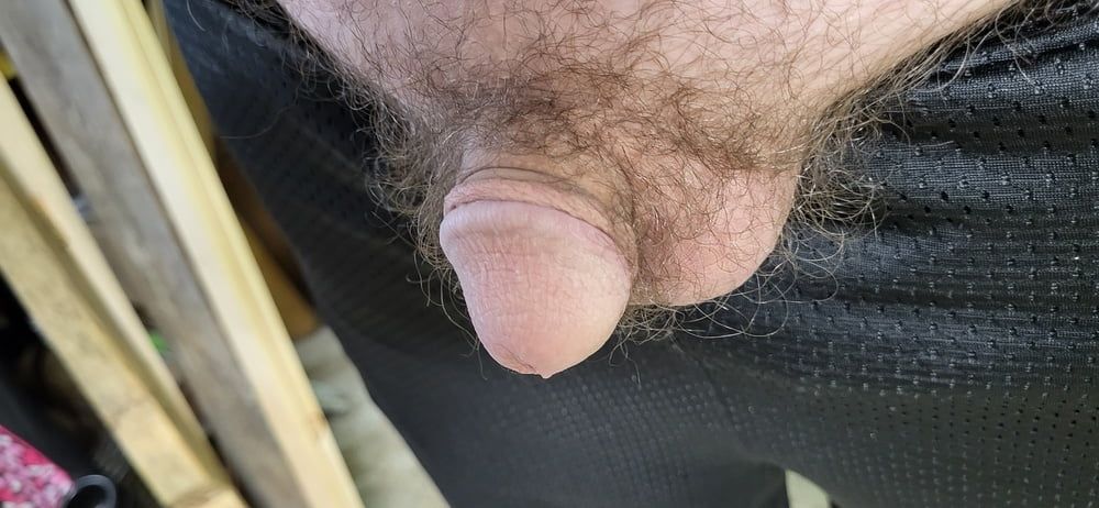My Small Cock #4