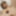 Sexdoll Gina t the toilet #20
