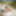 Fotos am Fkk Strand #2