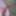 Bald Cock Pics