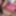 Go watch me get fucked on becomingfemme.com #3