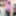 Amateur crossdresser Kellycd2022 sexy milf in white pantyhos