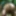 Voyeur - Masturbating In Forest