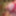 2019 random  #8