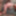 Greatest GIFs from Sexy Slut Evelina 66