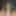 Indian dick 9 inch