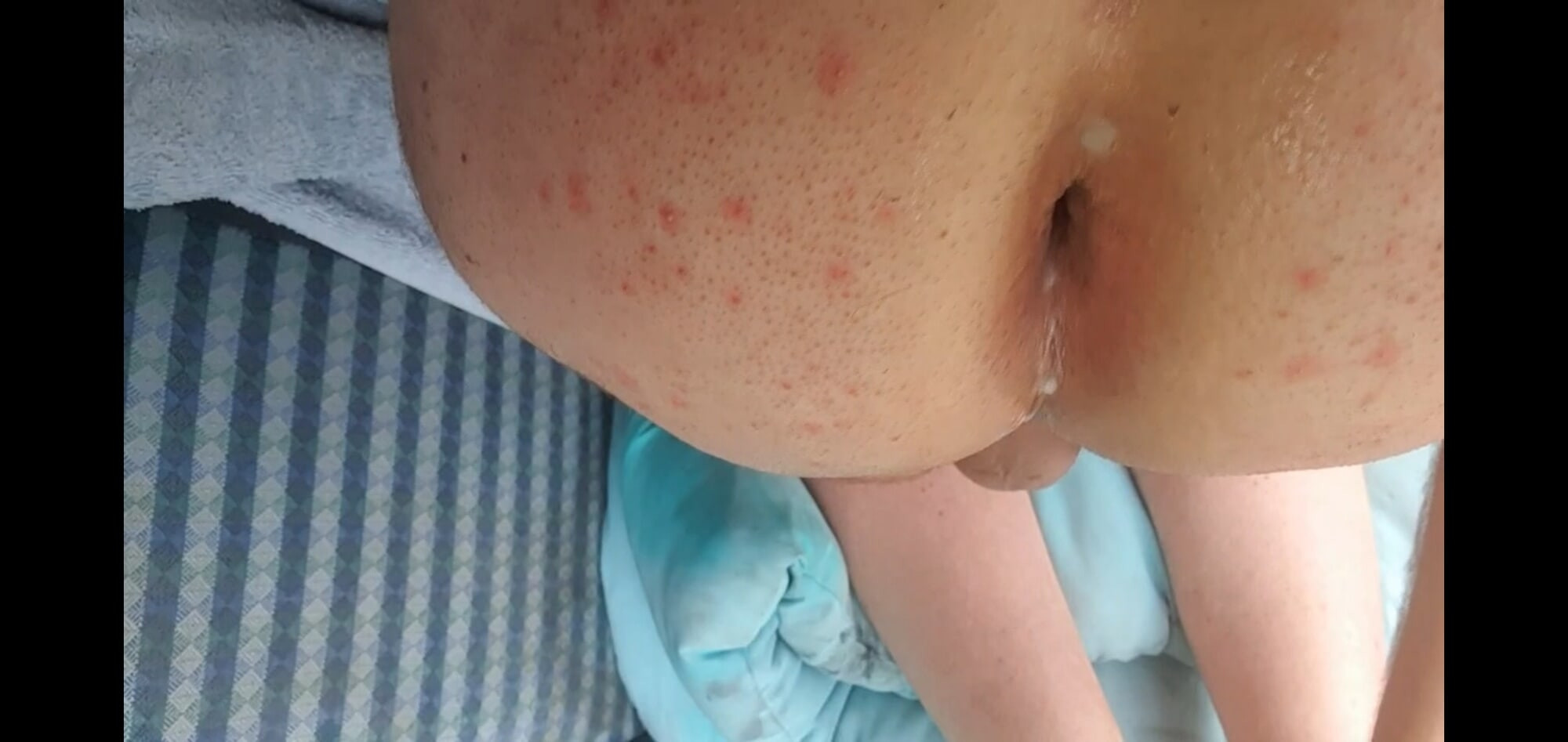 une bonne chatte offerte