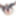 Test Gallery #51