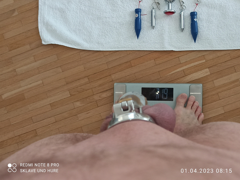 Mandatory weighing with cagecheck  #2