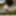 sounding dildo outdoors 1