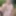 naked exhibitionist cruising jerking hoping to get some help #6