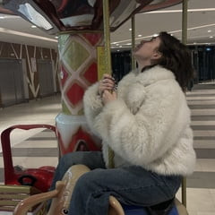 폴리 무료 사진