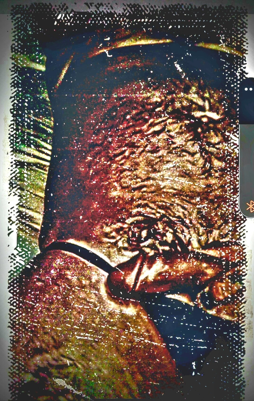 I hope you like my cock #12