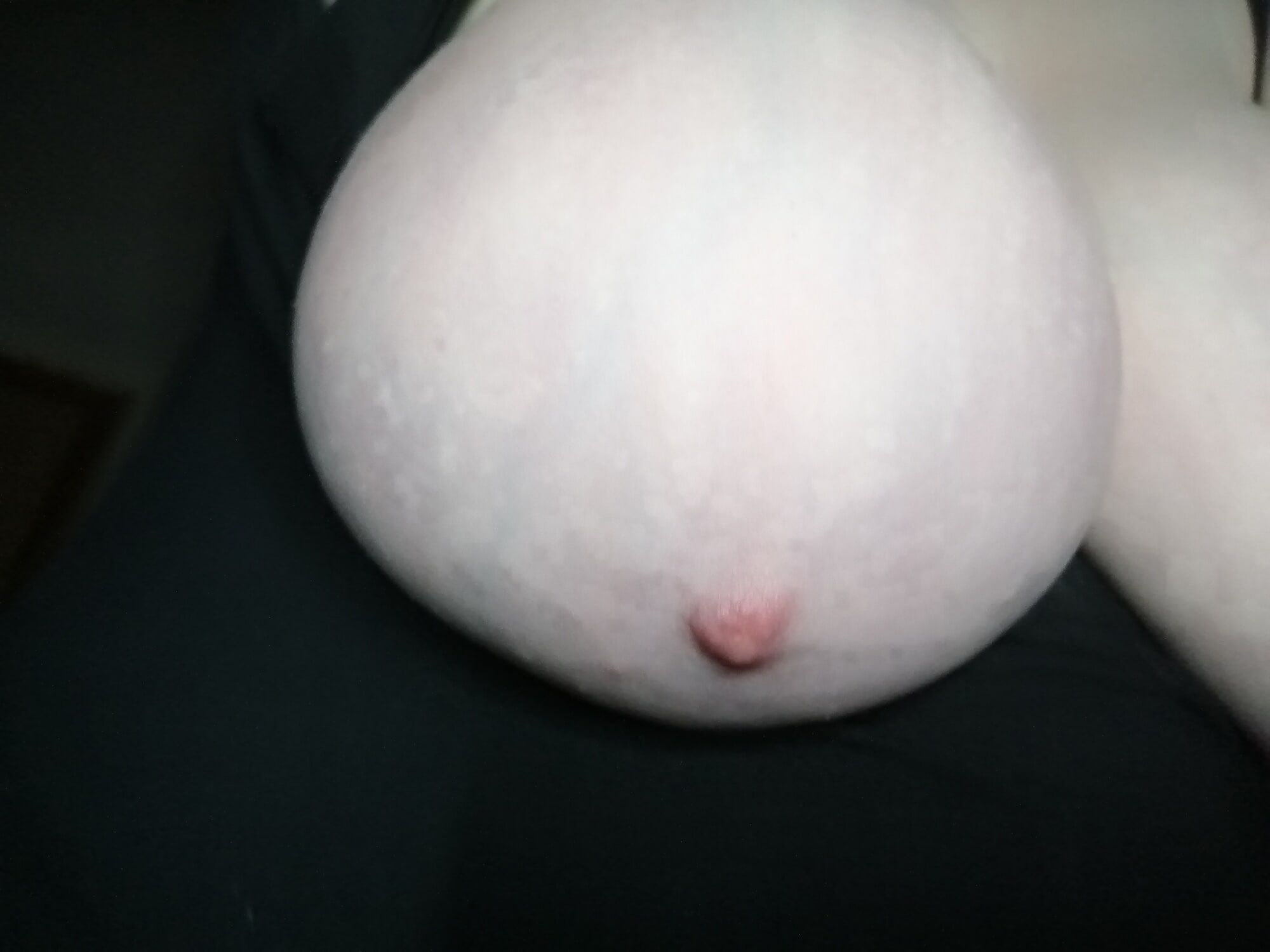 High-quality photos of my tits #13