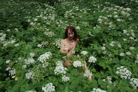 in white flowers           