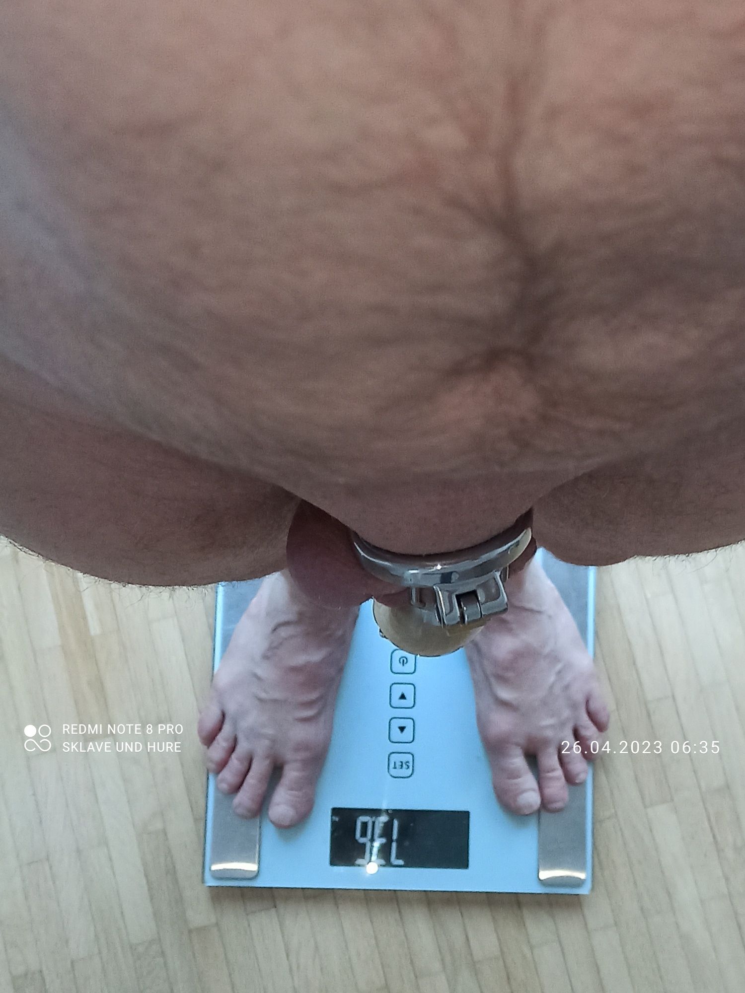 weighing cagecheck 26.04.2023 #15