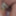 Daily duty of the naked slave April 2nd, 2024 #5
