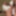 Oh, du besitzt einen candy striper femboy