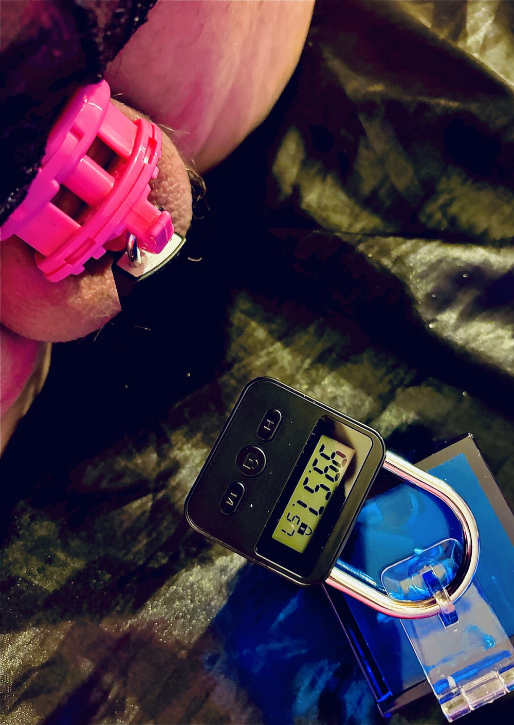 sissy chastity pig slave #8