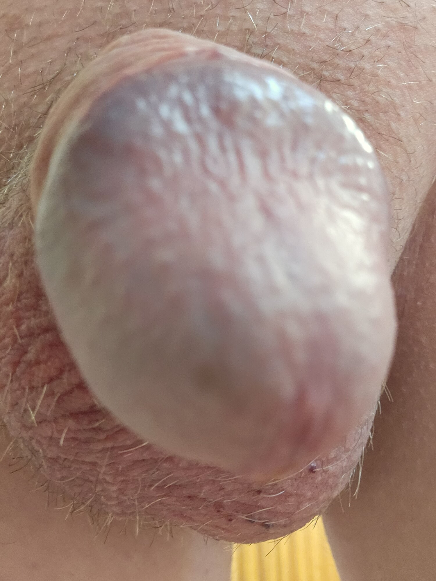 Penis 😍 #55