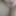 What&amp;amp;#039;s behind take a peek #2