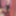 MerveRose 2019 #2