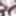 Bondex total nylon encasement #20