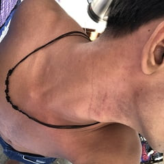 Pics anyone interested