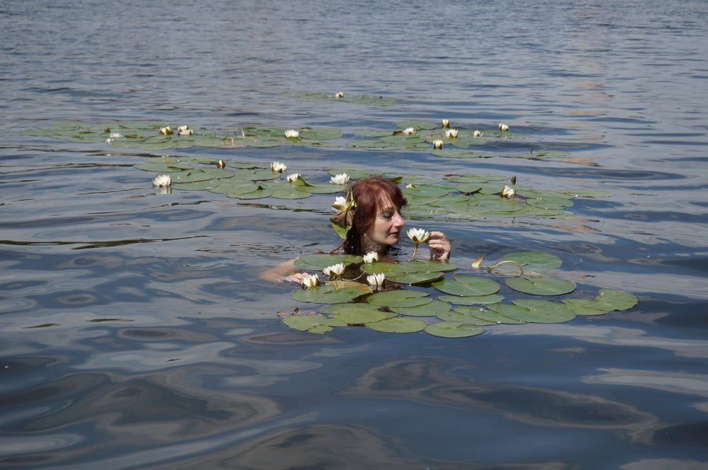 In City&#039;s Pond #7