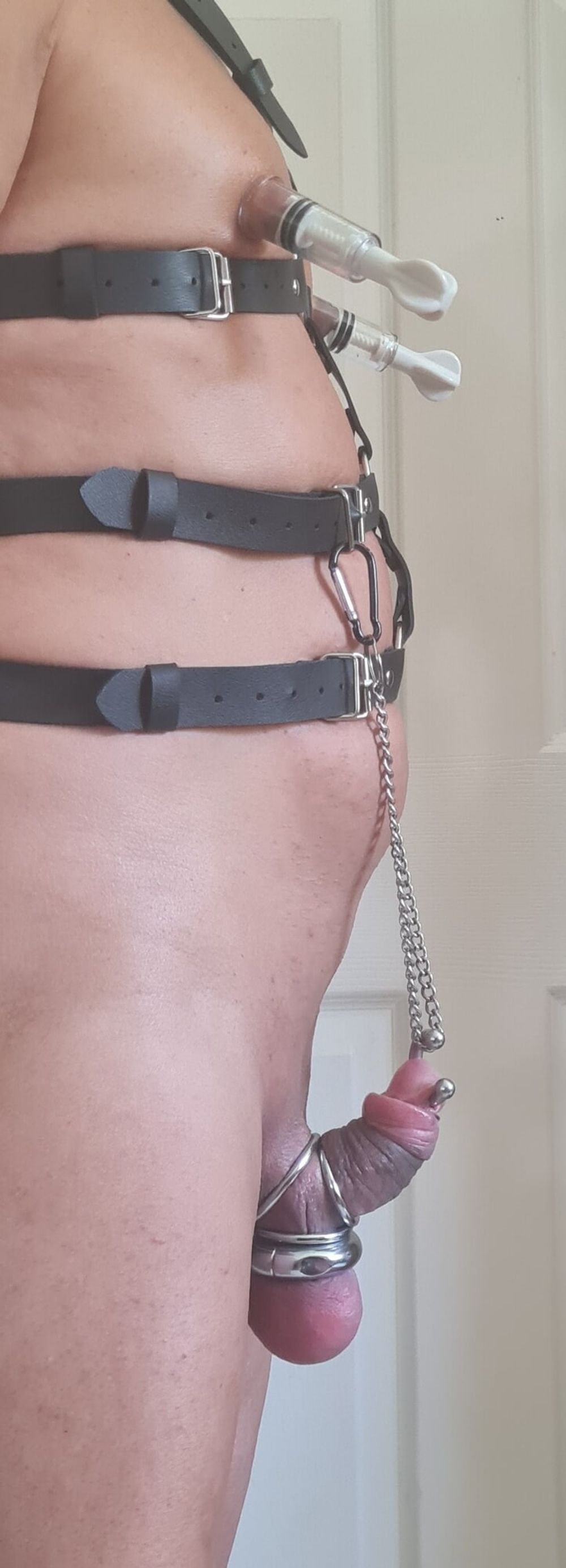 harness part 4 #14