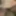 Sneak peek #4