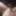 Cumshot Pictures