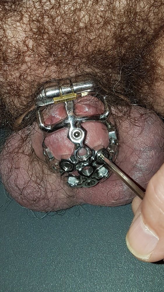 My best chastity cage #57