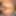 Doggy 