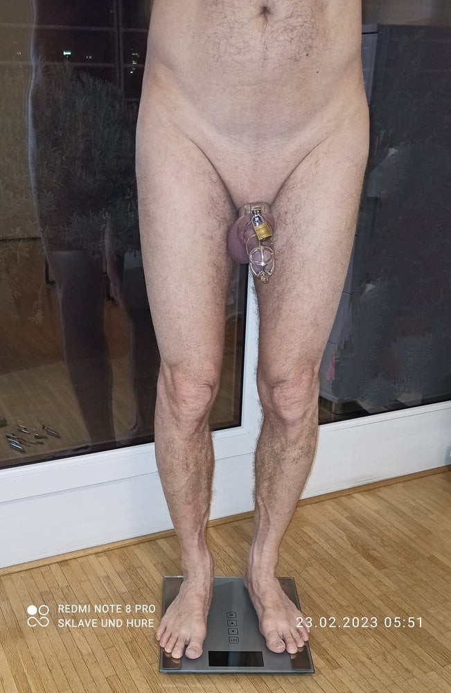 Delator, mandatory weighing, cockcage, nake 23.02.23 #5
