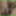Annadevot - Enjoy my cunt in close-up #7