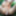 Public Naked Man Exhibition – Outdoor Cock Exposure in parki #8