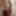 South Indian cock